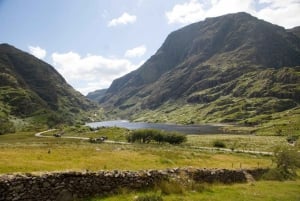 De Cork: Excursão guiada de 1 dia pelo Ring of Kerry e Killarney