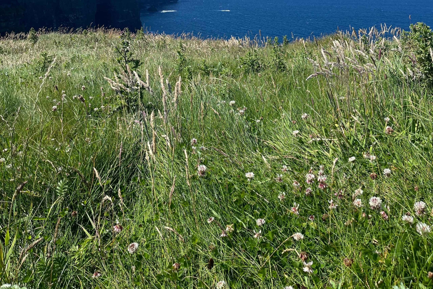 Fra Dublin: Dagsomvisning til klippene i Moher og Burren