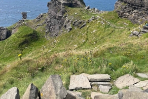 Fra Dublin: Dagsomvisning til klippene i Moher og Burren