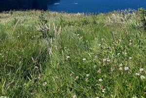 Fra Dublin: Dagsomvisning til klippene i Moher og Burren