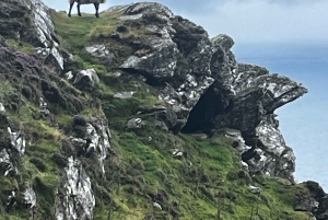Fra Dublin: Dagsomvisning til klippene i Moher og Burren