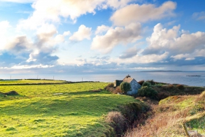 From Dublin: Cliffs of Moher and Galway City Full-Day Trip