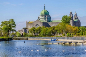 From Dublin: Cliffs of Moher and Galway City Full-Day Trip