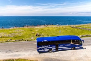 From Dublin: Cliffs of Moher, Boat Tour & Ailwee Caves