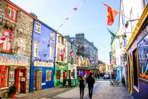 Fra Dublin: Dagstur til Cliffs of Moher, Burren og Galway City