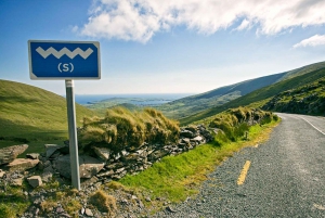 From Dublin: Cliffs of Moher, Burren & Galway City Day Tour