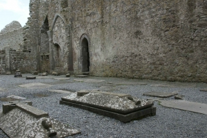From Dublin: Guided Day Trip to Cliffs of Moher and Galway
