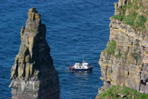 Vanuit Dublin: Kliffen van Moher, boottocht en Aillwee grot