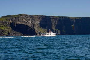 Von Dublin aus: Cliffs of Moher, Bootsfahrt und Aillwee-Höhle