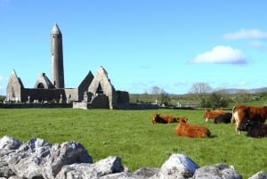 Fra Dublin: Dagstur til Cliffs of Moher, Burren og Galway