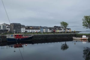 Private Tour: Cliffs of Moher, Galway City & More