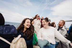 Da Dublino: Tour per piccoli gruppi delle Scogliere di Moher e di Galway