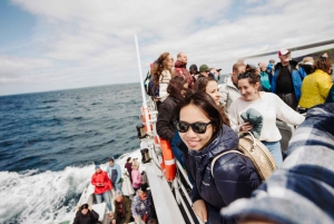 Da Dublino: Tour per piccoli gruppi delle Scogliere di Moher e di Galway