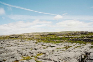 Da Dublino: Tour per piccoli gruppi delle Scogliere di Moher e di Galway