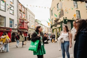 Da Dublino: Tour per piccoli gruppi delle Scogliere di Moher e di Galway