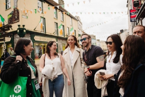 Da Dublino: Tour per piccoli gruppi delle Scogliere di Moher e di Galway