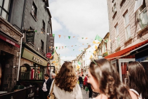 Da Dublino: Tour per piccoli gruppi delle Scogliere di Moher e di Galway