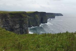From Ennis: Cliffs of Moher Explorer Day Tour