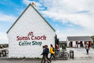 From Galway: Aran Islands & Cliffs of Moher Day Cruise