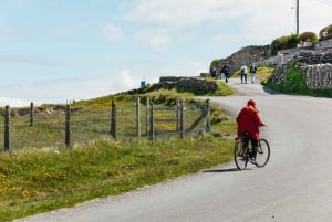 Galwaysta: Aran Islands & Cliffs of Moher kokopäiväretki