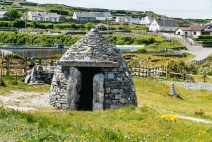 Desde Galway: Excursión de un día a las Islas Aran y los Acantilados de Moher