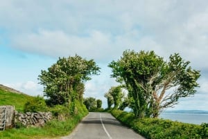 Fra Galway: Aran Islands & Cliffs of Moher Heldagstur