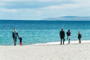 Da Galway: gita di un giorno alle Isole Aran e alle Scogliere di Moher