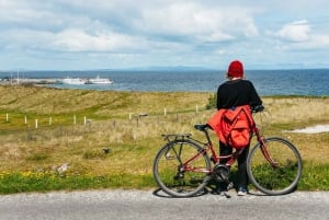 Från Galway: Heldagsutflykt till Aran Islands och Cliffs of Moher