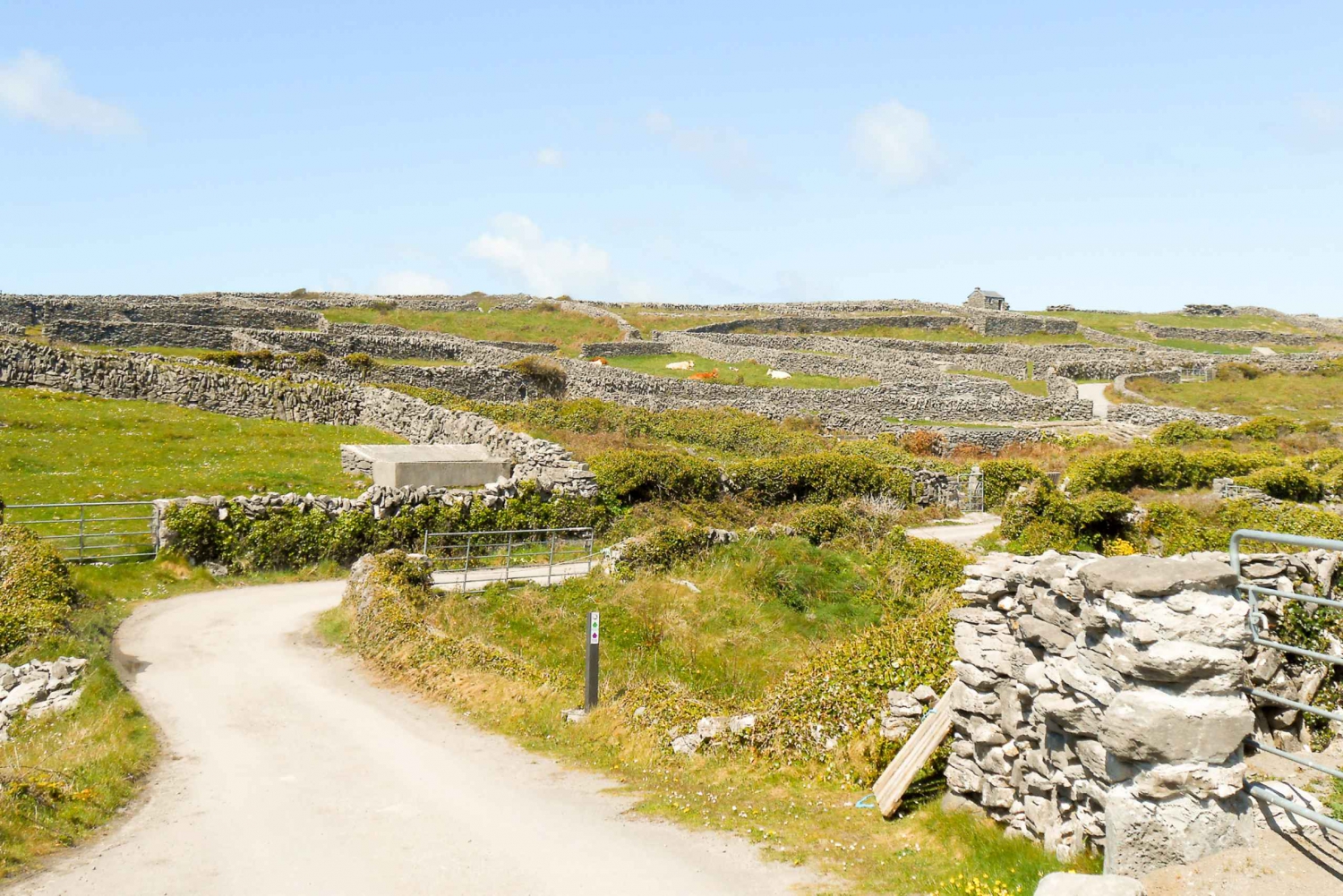 From Galway: Aran Islands & Cliffs of Moher Tour with Cruise