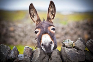 From Galway: Aran Islands & Cliffs of Moher Full-Day Trip