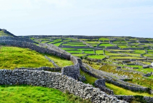 From Galway: Aran Islands & Cliffs of Moher Full-Day Trip