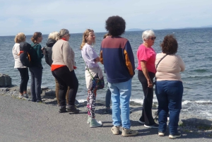 Galwaystä: Aransaarten matkapäivä ja Cliffs of Moher -risteily