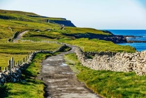 Från Galway: Aran-öarna och båtutflykt till Cliffs of Moher