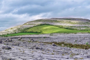 From Galway: Cliffs of Moher and The Burren Bus Tour