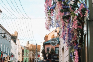 Dublin: Excursão de um dia às Falésias de Moher, Burren e Galway