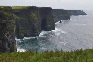 From Galway: Cliffs of Moher Explorer, 5 hr stop at Cliffs