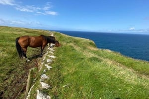 Из Голуэя: Прибрежная прогулка с гидом по скалам Мохер (Cliffs of Moher)