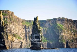 Desde Galway: tour de medio día a los acantilados de Moher
