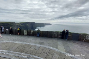 Cliffs of Moher and National Park Private Limousine Tour