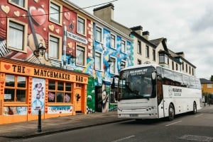 Da Galway: Tour delle Scogliere di Moher con sosta di 5 ore ed ingresso