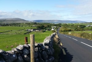 From Galway: Cliffs of Moher Tour with 5 Hour Stop & Entry
