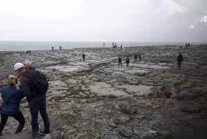 Fra Galway: Cliffs of Moher-tur med 5 timers stop og entré
