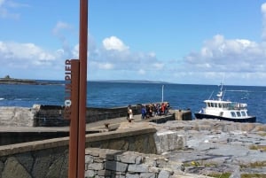 Von Galway aus: Cliffs of Moher Tour mit 5-stündigem Stopp & Eintritt