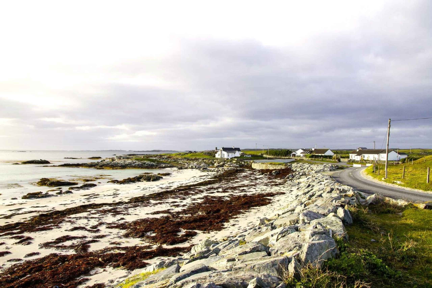 Desde Galway: Connemara, islas Aran, crucero y excursión al Burren