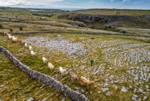 Au départ de Galway : Connemara, îles d'Aran, croisière et visite du Burren