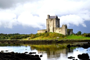 Au départ de Galway : Connemara, îles d'Aran, croisière et visite du Burren