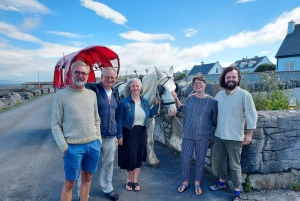 Au départ de Galway : Connemara, îles d'Aran, croisière et visite du Burren