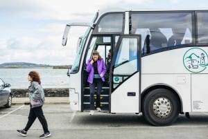 Desde Galway: Excursión guiada de un día a los Acantilados de Moher y Burren