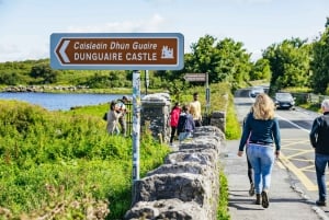 Von Galway aus: Ganztägige Cliffs of Moher & Burren geführte Tour