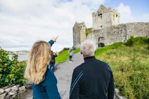 Fra Galway: Heldags Cliffs of Moher & Burren guidet tur